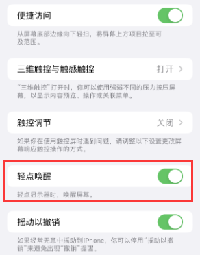 芦淞苹果授权维修站分享iPhone轻点无法唤醒怎么办 