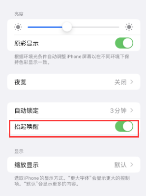 芦淞苹果授权维修站分享iPhone轻点无法唤醒怎么办