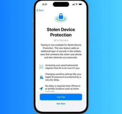 芦淞苹果授权维修店分享被盗设备保护功能开启方法 