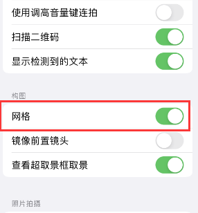 芦淞苹果手机维修网点分享iPhone如何开启九宫格构图功能