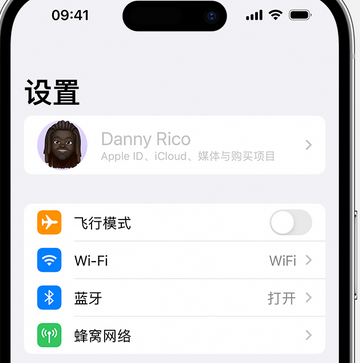 芦淞appleID维修服务iPhone设置中Apple ID显示为灰色无法使用