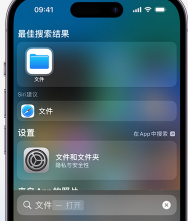 芦淞apple维修中心分享iPhone文件应用中存储和找到下载文件 