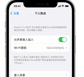 芦淞apple服务站点分享iPhone上个人热点丢失了怎么办 