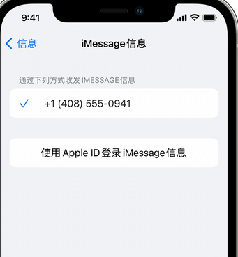 芦淞apple维修iPhone上无法正常发送iMessage信息 