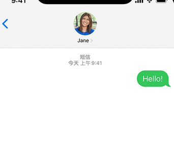 芦淞apple维修iPhone上无法正常发送iMessage信息