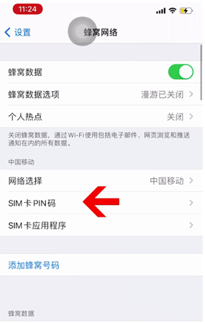 芦淞苹果14维修网分享如何给iPhone14的SIM卡设置密码 