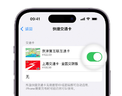 芦淞apple维修点分享iPhone上更换Apple Pay快捷交通卡手绘卡面 