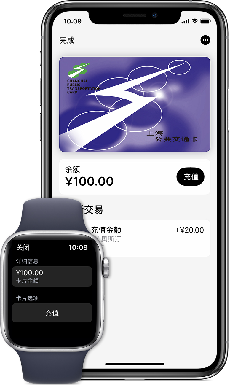 芦淞苹果手机维修分享:用 Apple Pay 刷交通卡有哪些优势？如何设置和使用？ 