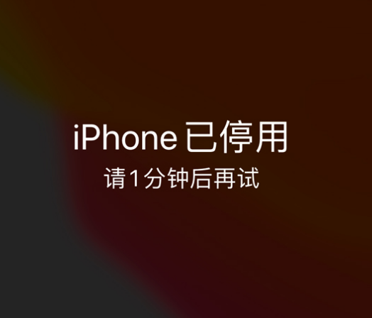 芦淞苹果手机维修分享:iPhone 显示“不可用”或“已停用”怎么办？还能保留数据吗？ 