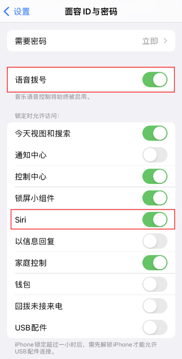 芦淞苹果维修网点分享不解锁 iPhone 的情况下通过 Siri 拨打电话的方法 