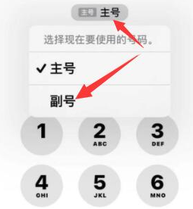 芦淞苹果14维修店分享iPhone 14 Pro Max使用副卡打电话的方法 