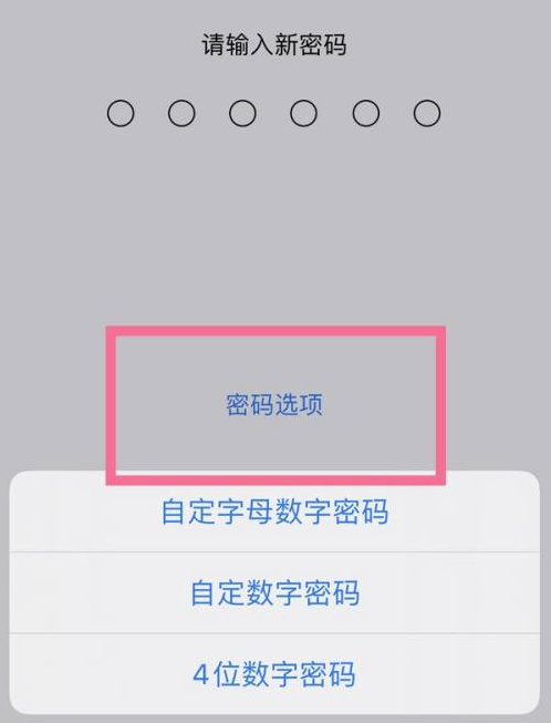 芦淞苹果14维修分享iPhone 14plus设置密码的方法 