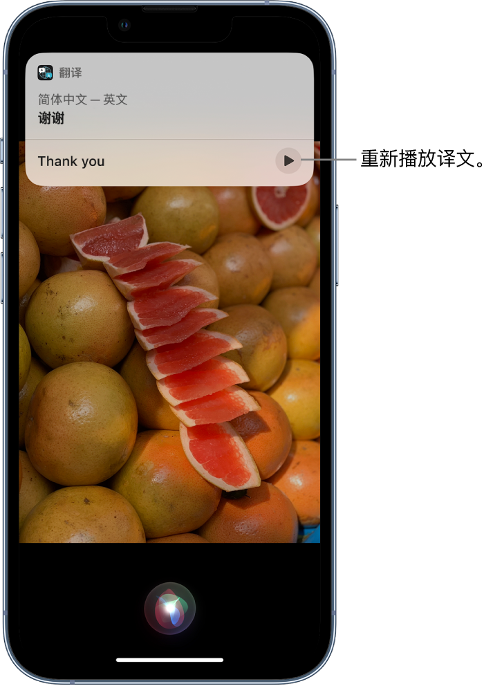 芦淞苹果14维修分享 iPhone 14 机型中使用 Siri：了解 Siri 能帮你做什么 