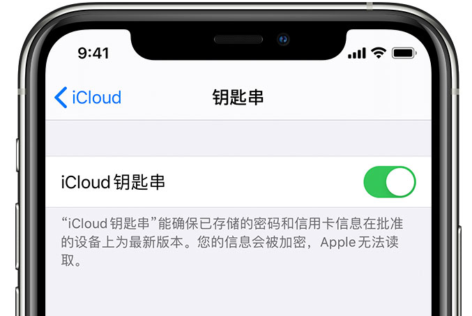 芦淞苹果手机维修分享在 iPhone 上开启 iCloud 钥匙串之后会储存哪些信息 