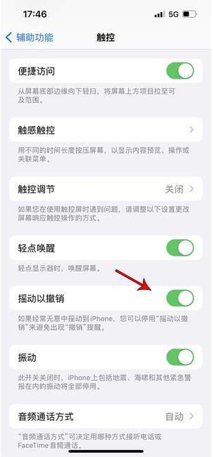 芦淞苹果手机维修分享iPhone手机如何设置摇一摇删除文字 