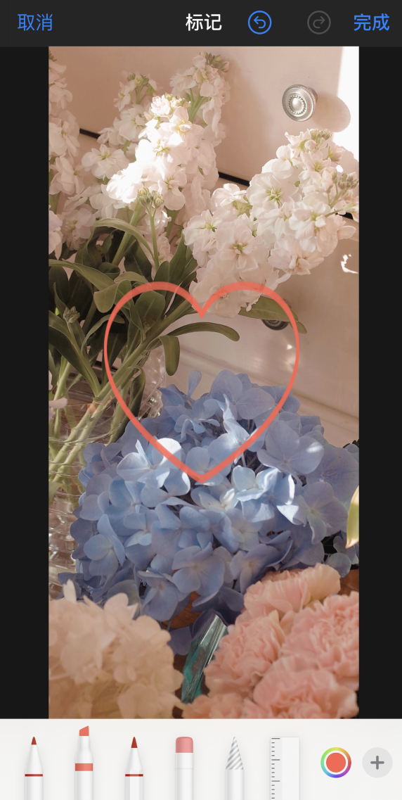 芦淞苹果手机维修分享iPhone 12 如何在照片上涂鸦 