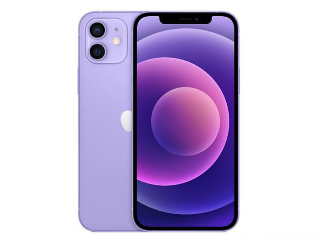 芦淞苹果手机维修分享现阶段要不要入手紫色版iPhone12 