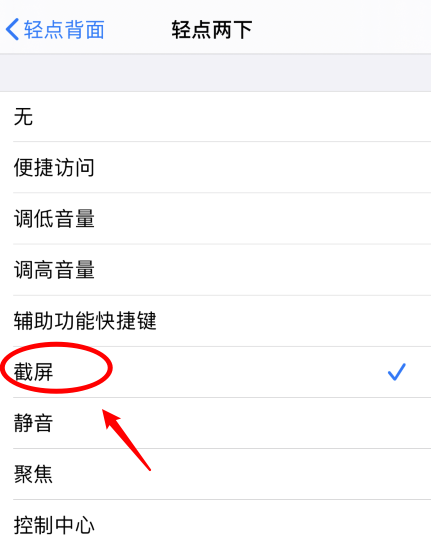 芦淞苹果手机维修分享iPhone12如何启用双击截屏 