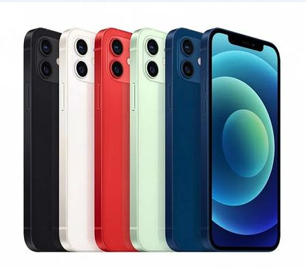 芦淞苹果维修点分享iPhone 12 Pro Max黑屏冷门故障解读 