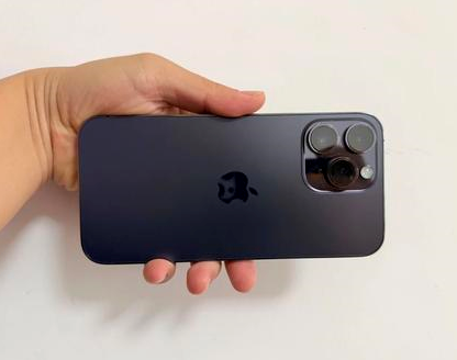 芦淞苹果维修点分享iPhone 14 Pro Max发烫多重诱因剖析 